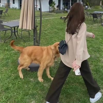 吉普赛人与处女